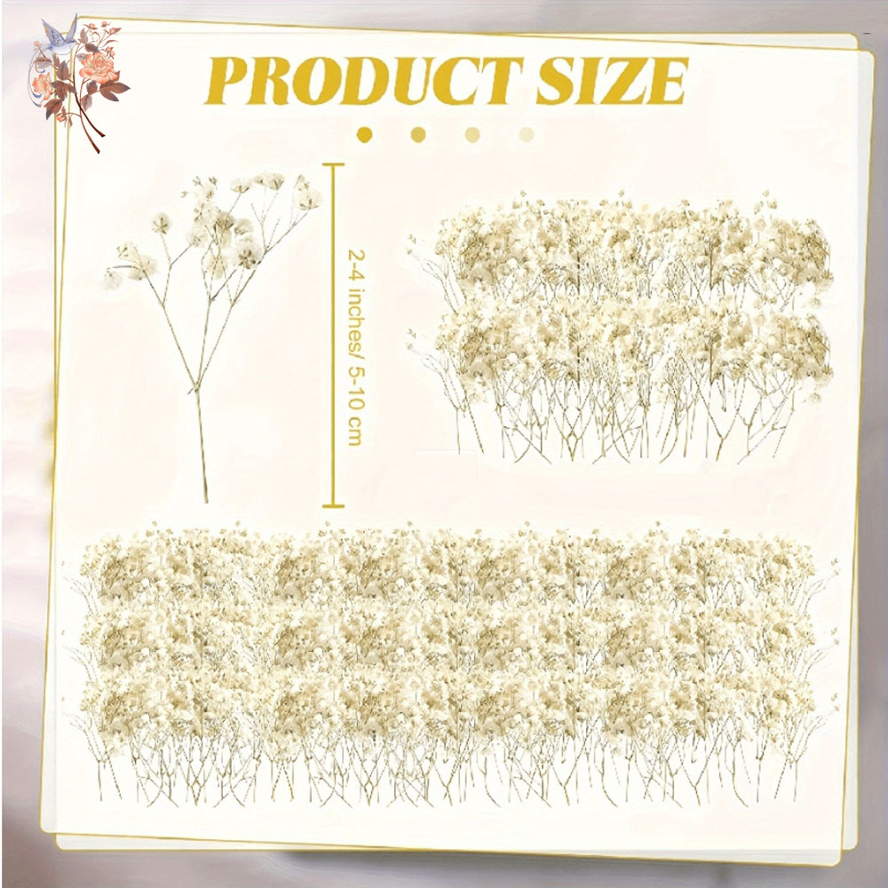 Mini fleur de gypsophile séché - Candle Making Uk avis et prix