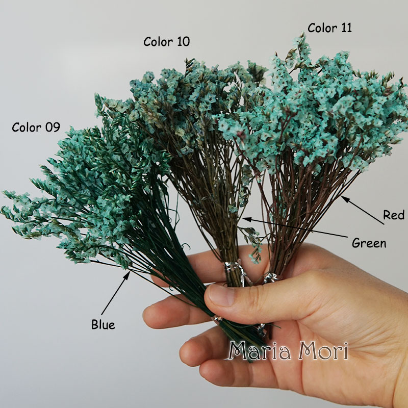 5g/coloré naturel préservé cri - Candle Making Uk avis et prix