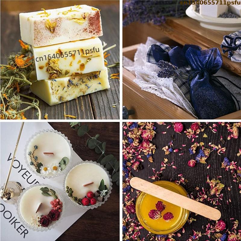 4 types de boutons de rose nat - Candle Making Uk avis et prix